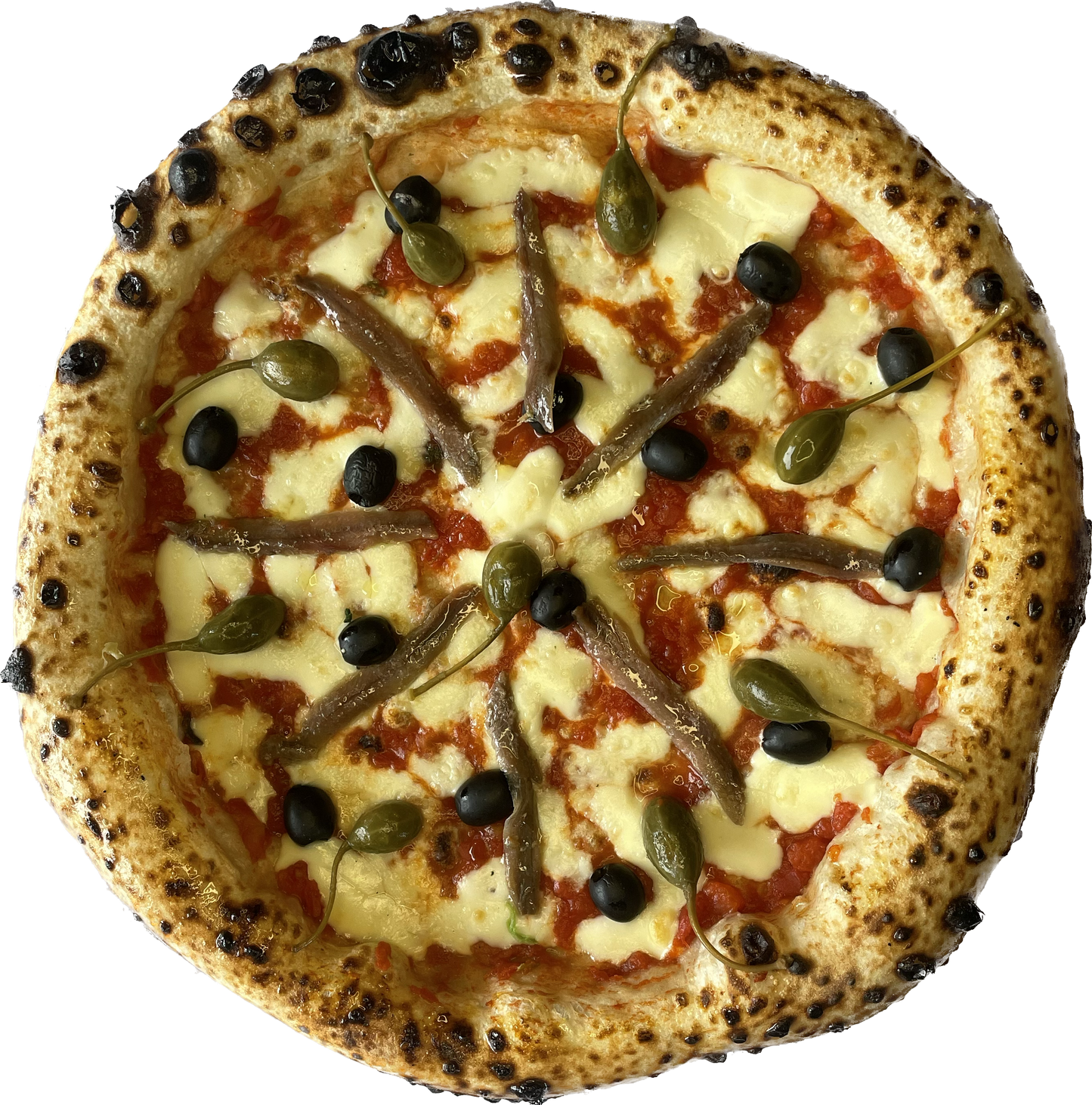 Napoletana